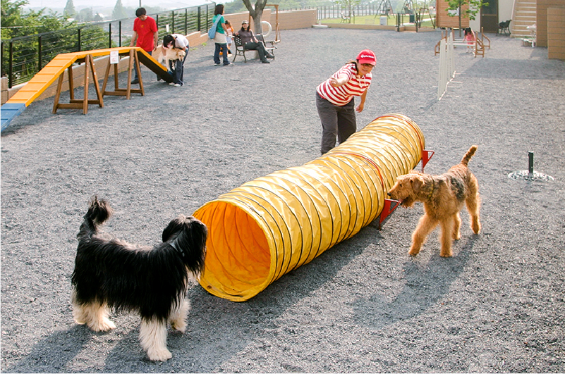 ビギナーズラン画像