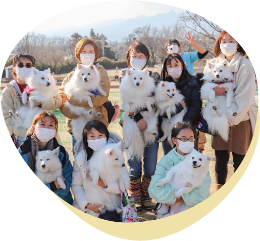 愛犬家同士のワン友を作る画像