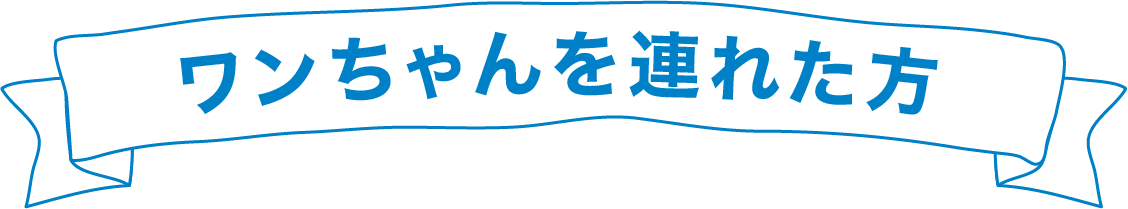 ワンちゃんを連れた方