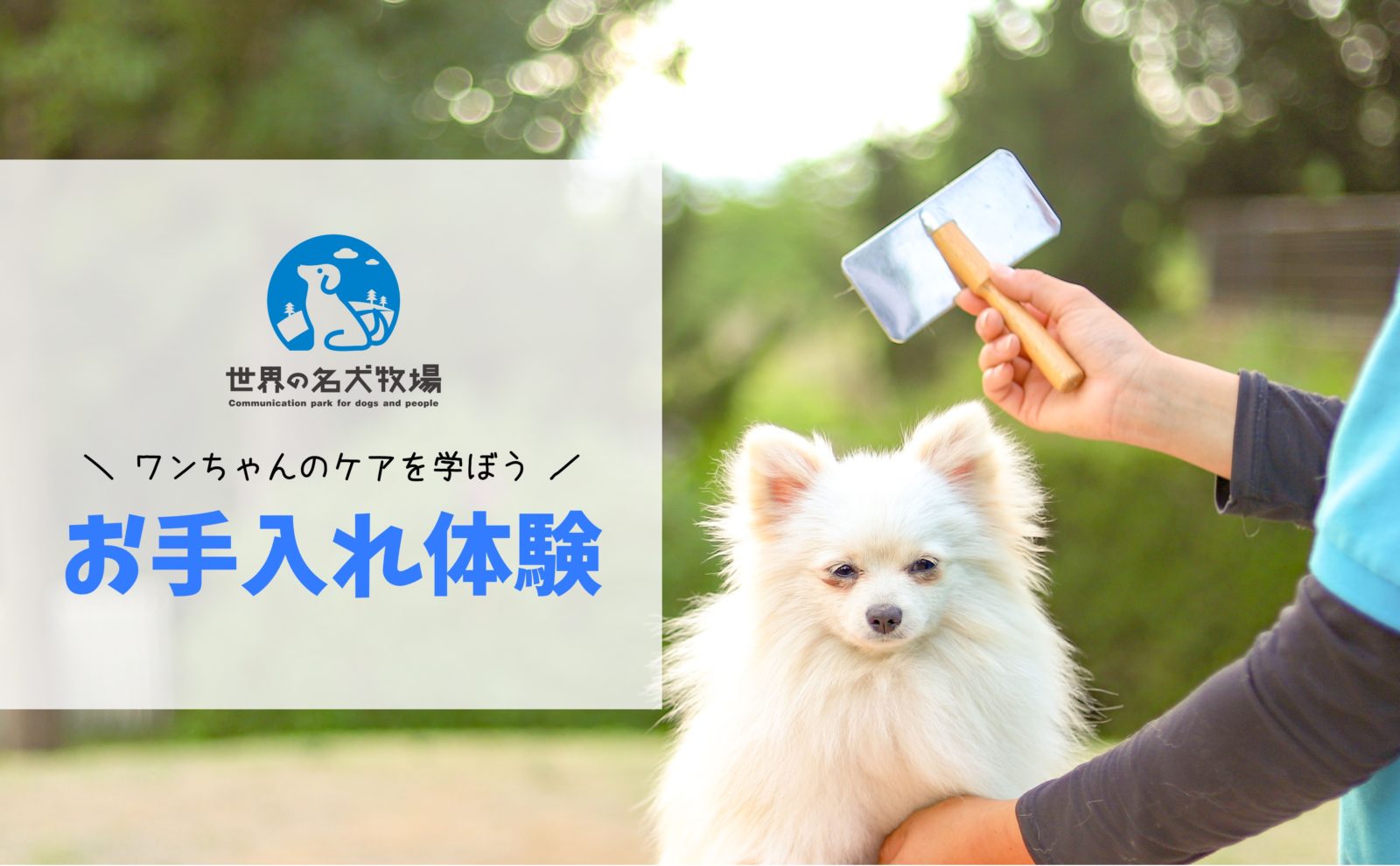 明日のワンフェス日程変更のお知らせ