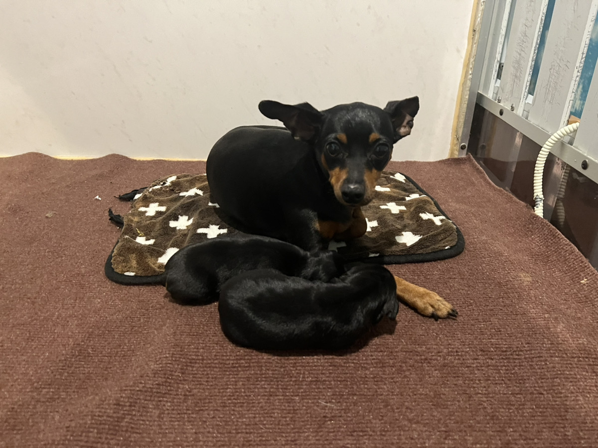 レーズンの子育てルーム通信❤②