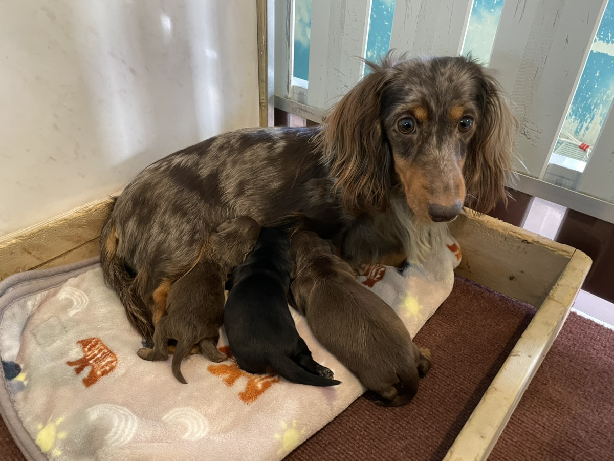 せとかの子育てルーム通信❤