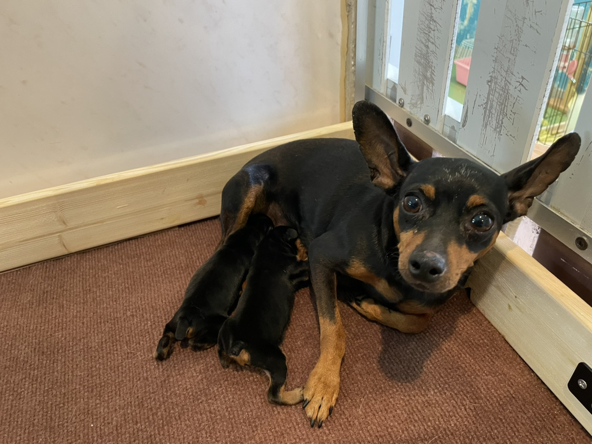 レーズンの子育てルーム通信❤