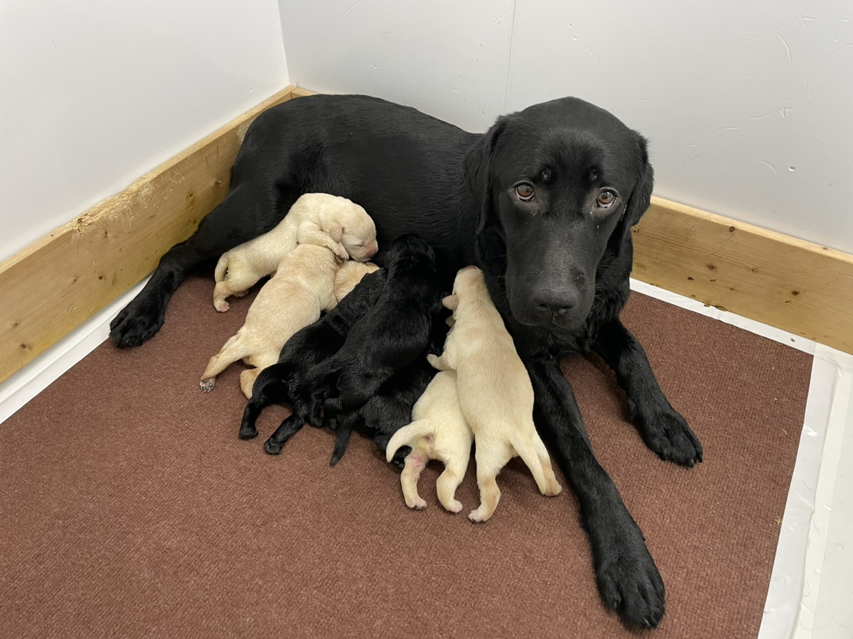 えごまの子育てルーム通信❤