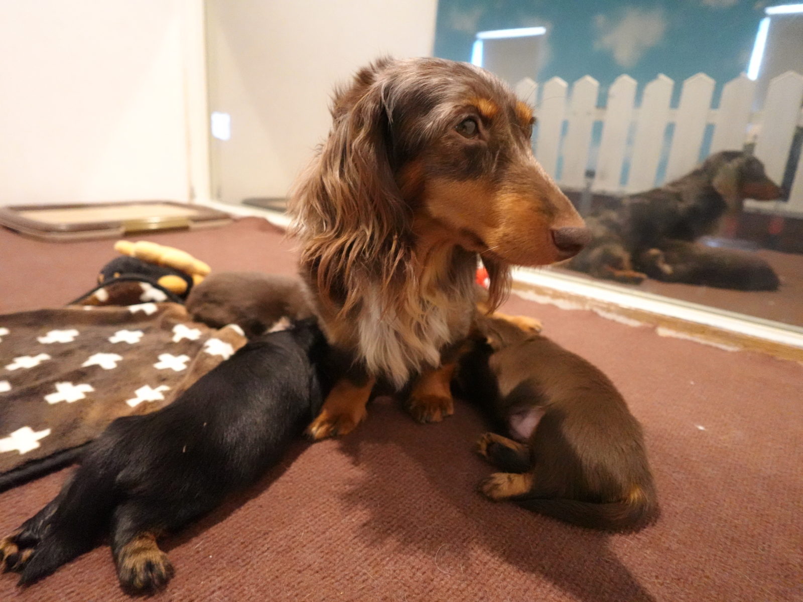 せとかの子育てルーム通信❤③