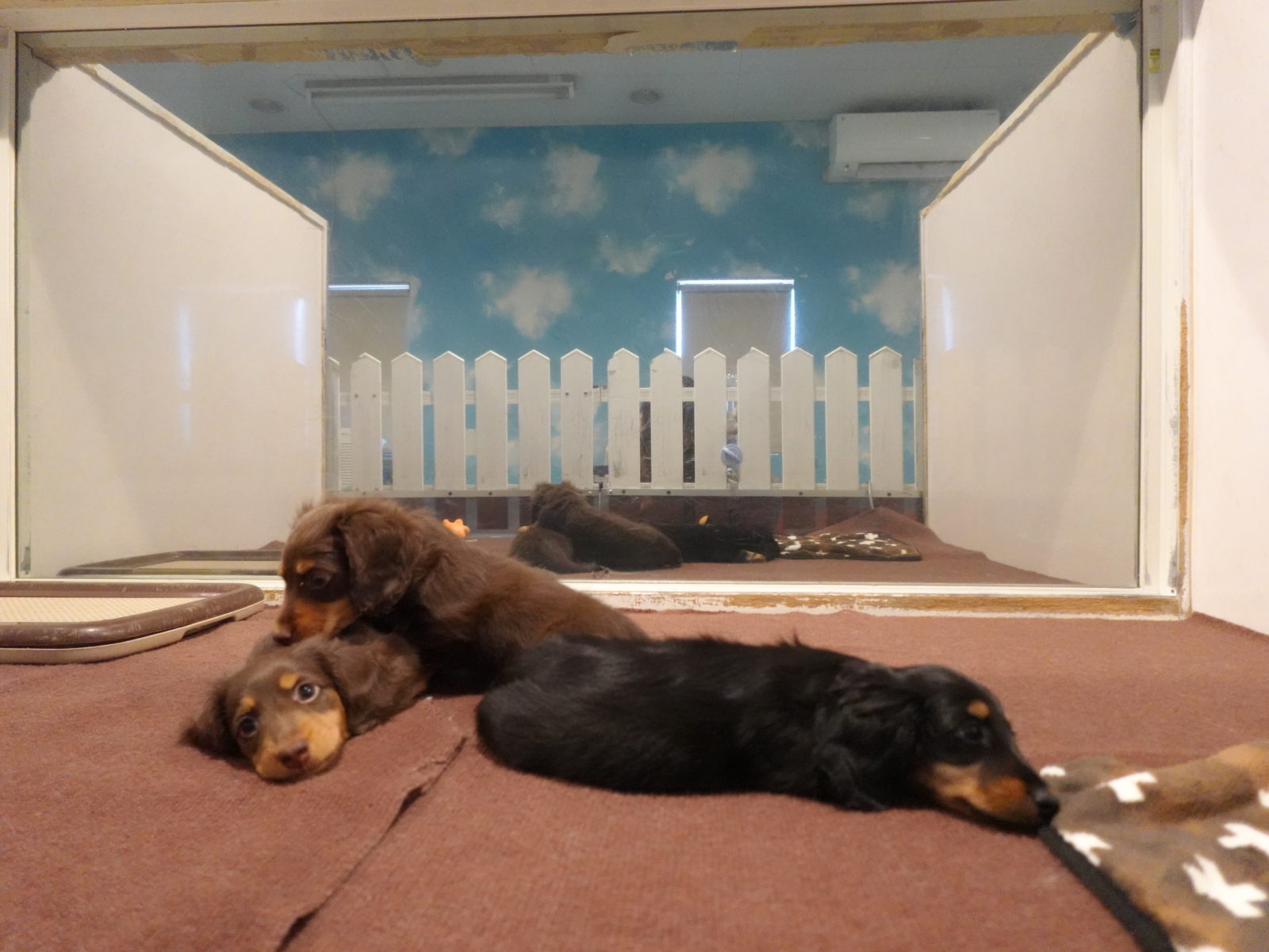 せとかの子育てルーム通信❤⑥