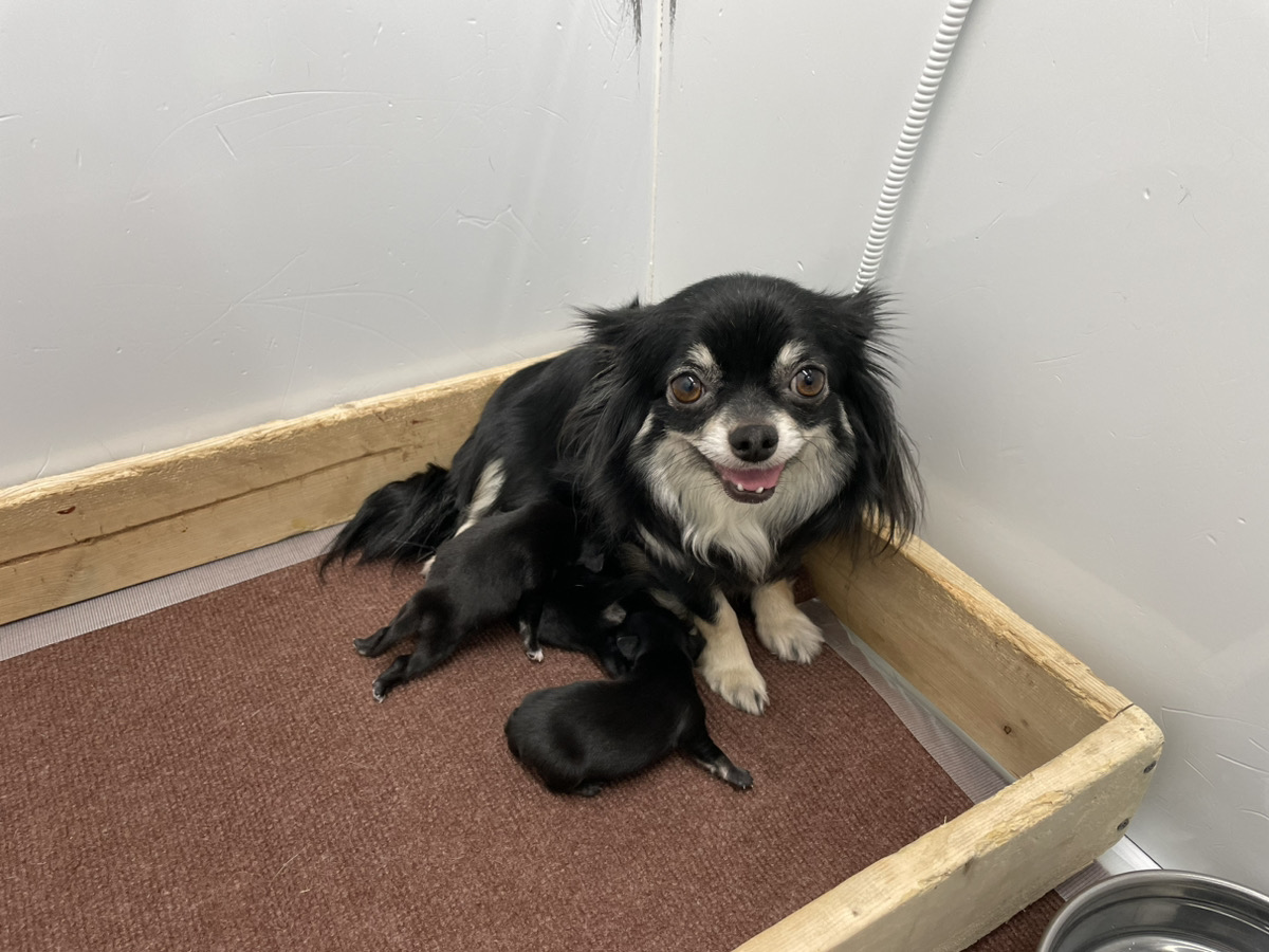 モウの子育てルーム通信❤