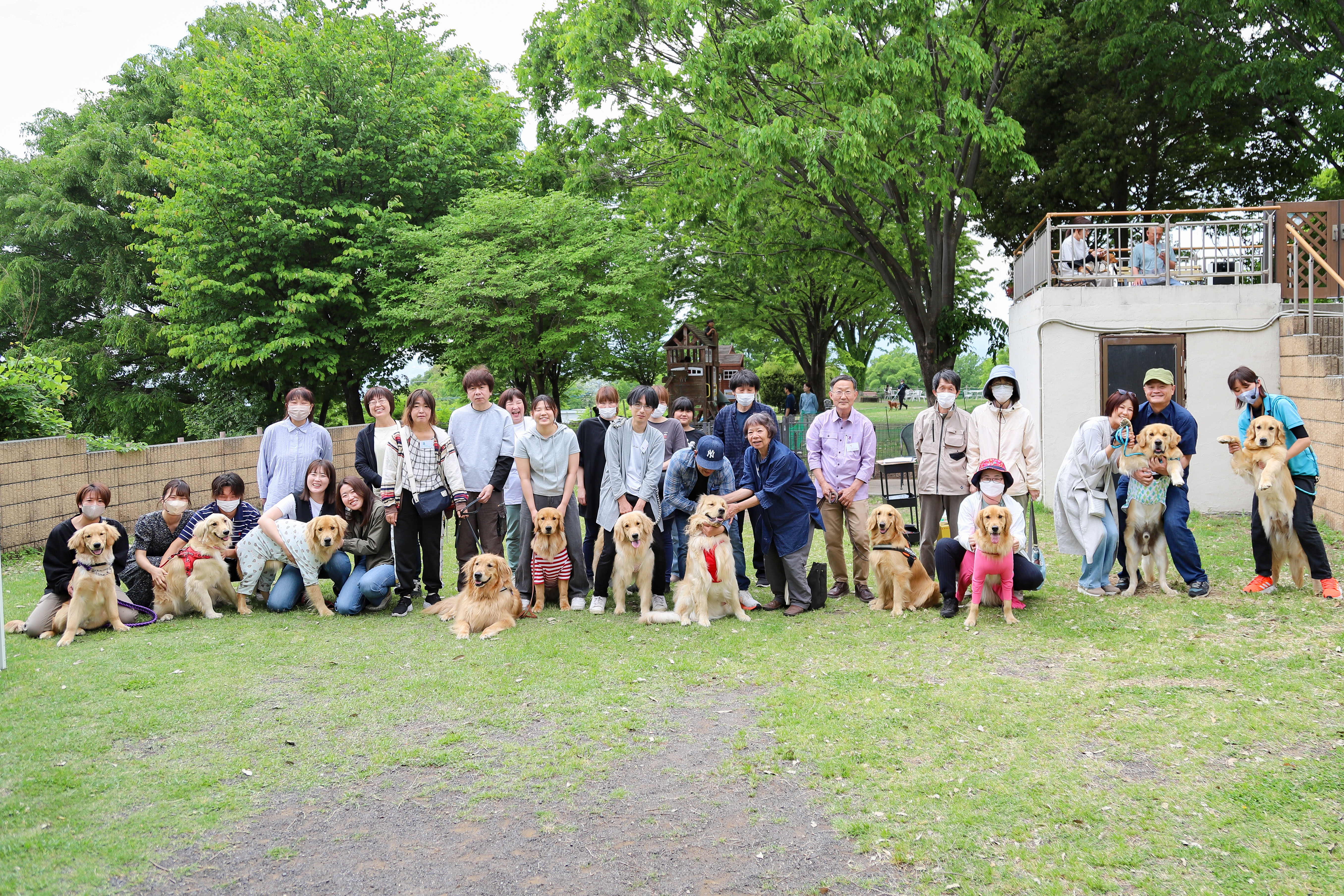 ワンフェス#30【ゴールデンレトリーバー】