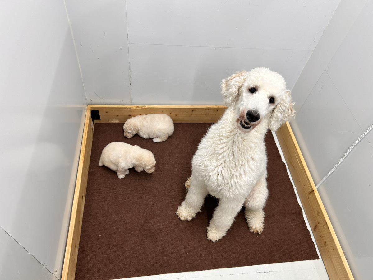 バニラの子育てルーム通信❤②