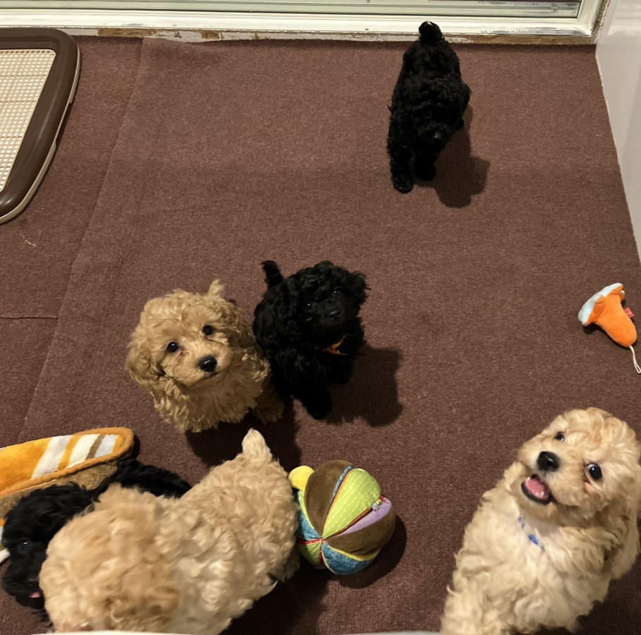 ピーチの子育てルーム通信❤⑤