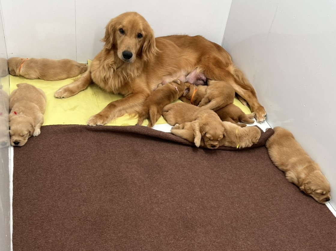 チーズの子育てルーム通信❤②