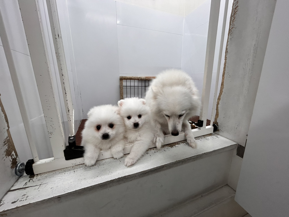 とうふの子育てルーム通信❤④