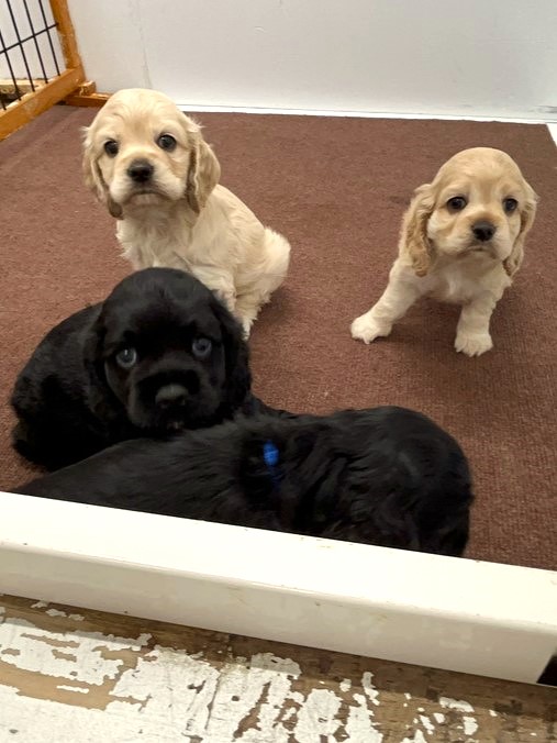 みぅの子育てルーム通信❤④